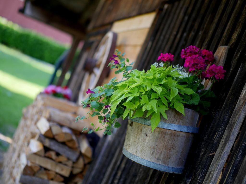 Apparthotel Ederfeld Mayrhofen Bagian luar foto